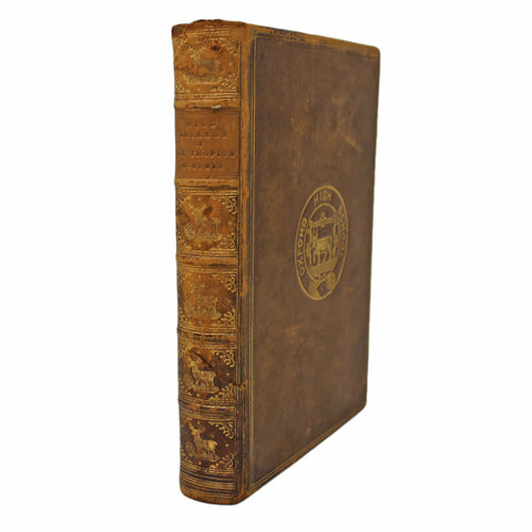 1893 Antique Book Wild Animals Of The Tropics Dr G Hartwig