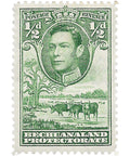 Bechuanaland Protectorate Stamp 1941 0.5 Penny George VI Cattle (Bos primigenius taurus)