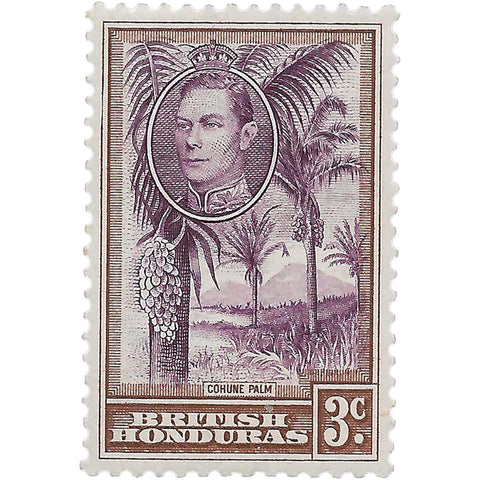 British Honduras Stamp George VI 1938 3 Cent Cohune Palm