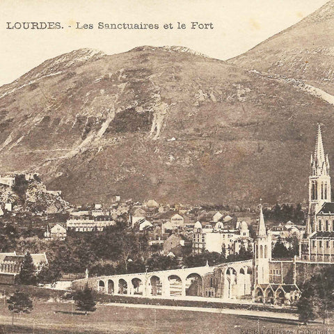 France Lourdes Les Sanctuaires et le Fort Vintage Postcard