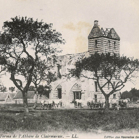 Saint-Omer France Vintage Postcard