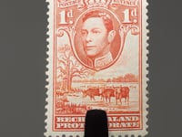 1938 1 d Bechuanaland Protectorate Stamp George VI, Cattle