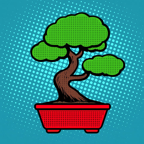 Bonsai