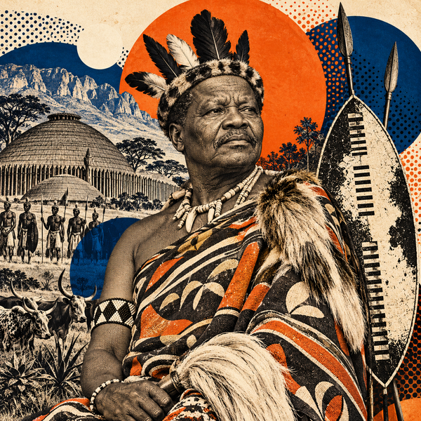Pop art historical illustration for Sobhuza II of Swaziland coins