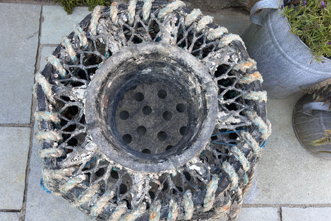 Original lobster pot