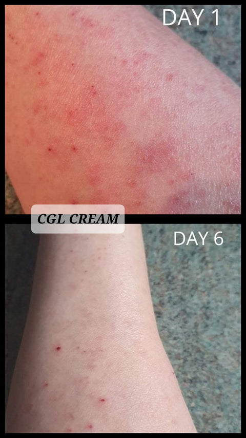 Chamomile Geranium & Lavender Cream - Transform Your Skin, Transform Your Life!