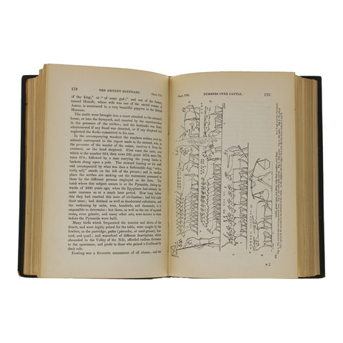 1878 Antique Book The Ancient Egyptians By Sir J. Gardnier Wilkinson in Two Volumes with illustrations.