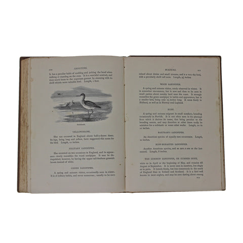1887 Antique Book The Badmington Library Shooting, Sports and Pastimes in 2 Vol