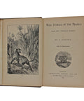 1893 Antique Book Wild Animals Of The Tropics Dr G Hartwig