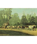 1900s Australia Melbourne Bullock Team Postcard with Victoria One Penny Red Stamp