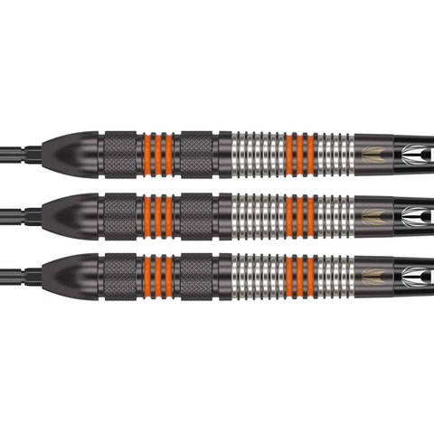 Target Raymond van Barneveld Black 80% Swiss