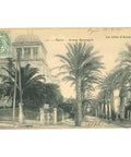 1907 Hyères, France – Avenue Beauregard The Côte d'Azur Postcard