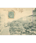 1907 Tunis, Tunisia – Avenue de France, Postcard