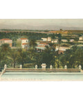 1908 Biskra, Algeria Postcard View of the Oasis and the Col de Sfa