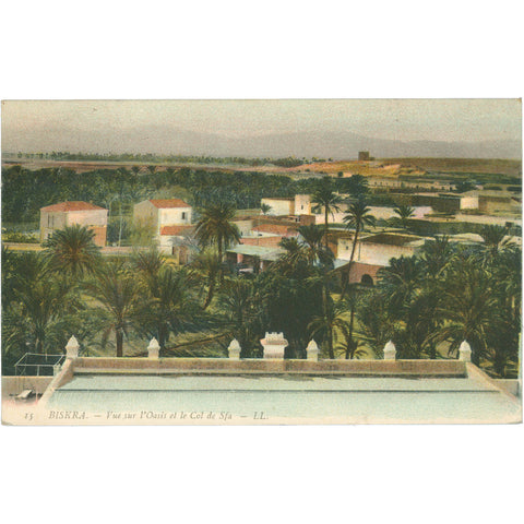 1908 Biskra, Algeria Postcard View of the Oasis and the Col de Sfa