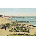 1910s Australia Melbourne the Beach St. Kilda Postcard Antique