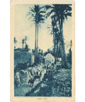 1939 Libya Postcard – Oasis Scene