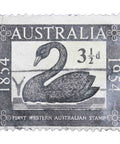 1954 3 1/2d Black Swan Australian Pre Decimal Stamp Used