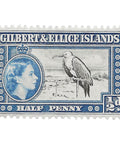 1956 Half British penny Elizabeth II Gilbert and Ellice Islands Stamp Great Frigatebird (Fregata minor)