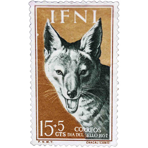 1957 Ifni Stamp 15 and 5 Spanish Céntimos Golden Jackal (Canis aureus)