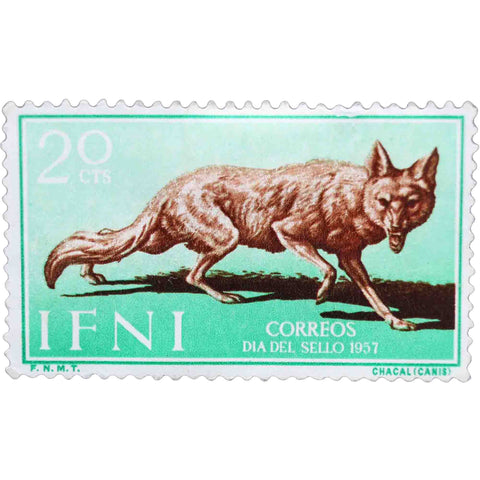 1957 Ifni Stamp 20 Spanish Céntimos Golden Jackal (Canis aureus)