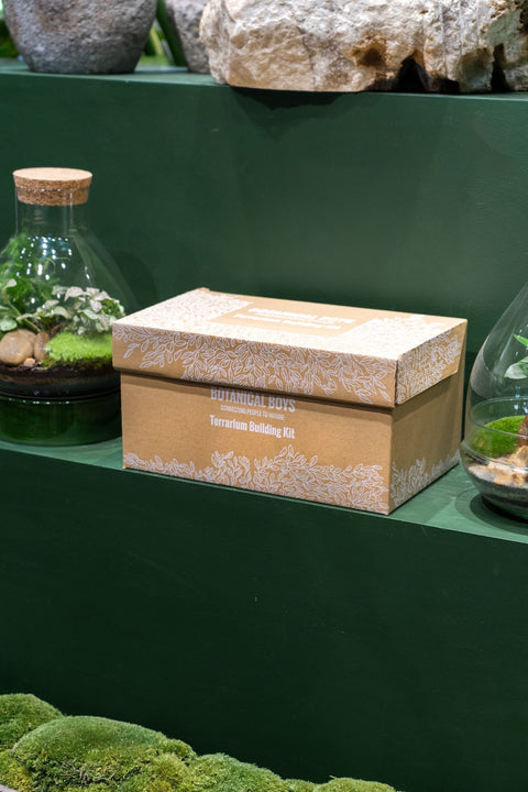 Terrarium Kit ingredients - small no glass