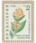 1960 2 Bulgarian stotinka Bulgaria Stamp Yellow gentian Flowers