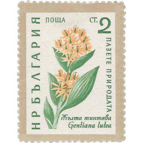 1960 2 Bulgarian stotinka Bulgaria Stamp Yellow gentian Flowers