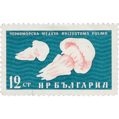 1961 12 Bulgarian stotinka Bulgaria Stamp Barrel Jellyfish (Rhizostoma pulmo) Marine Fauna