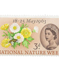 1963 3 d Elizabeth II Stamp United Kingdom National Nature Week Buttercup, Common Daisy, Honey Bee