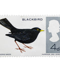 1966 Stamp United Kingdom 4 d - British Penny Elizabeth II Common Blackbird (Turdus merula) - Phosphor