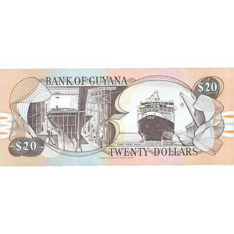 1993 Guyana 20 Dollars Banknote