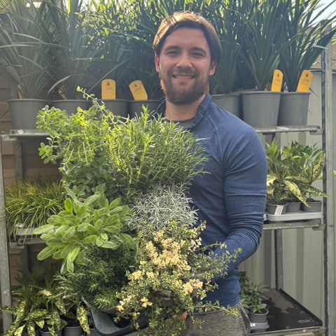 Our selection of Herbs 1.5L