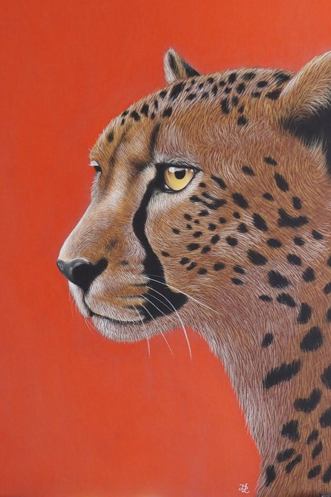 Iwona Przybylska - Cheetah