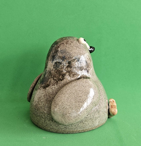 City Pigeon