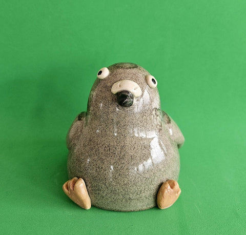 City Pigeon