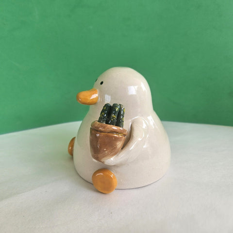 Grant with the Plant - Duck with Succulent