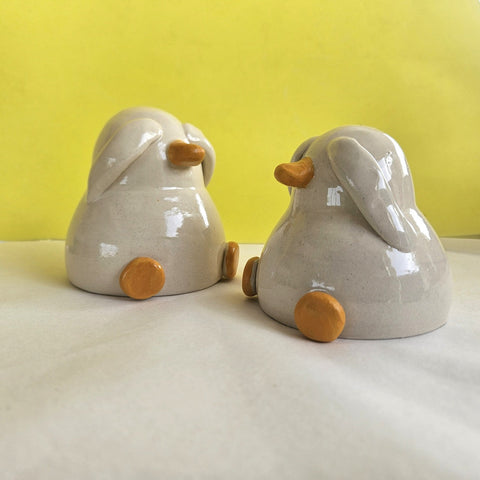 Guy the Shy - Hiding Duck