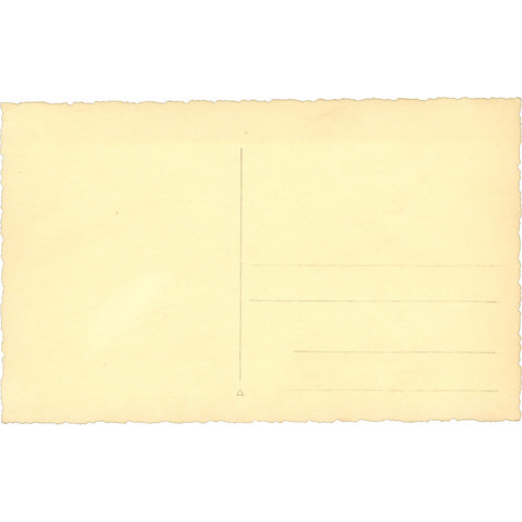 21st Infantry Division Post - WWI French Soldier Photo Postcard