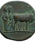 27 BC - 14 AD Roman Provincial Macedonia Semis Augustus Coin Philippi