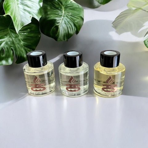 Simple Scents Excellence Raumduft-Trio – Frisch