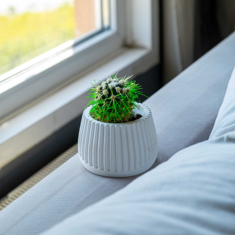 WHITE CONCRETE MUG POT