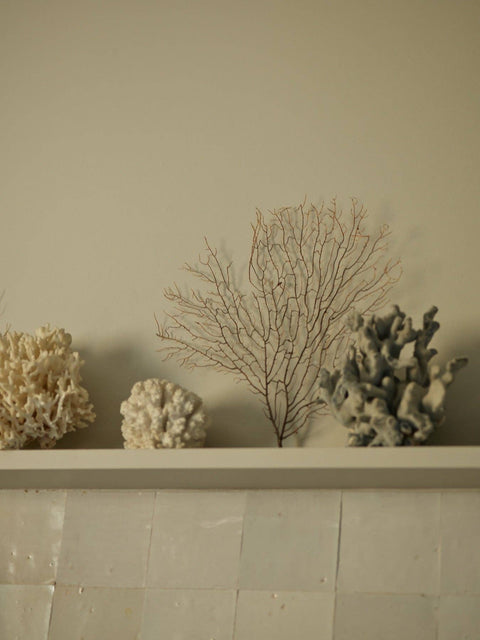 Seaweed & Samphire Diffuser