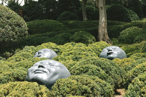 Marta Romashina - The Garden Sleeps