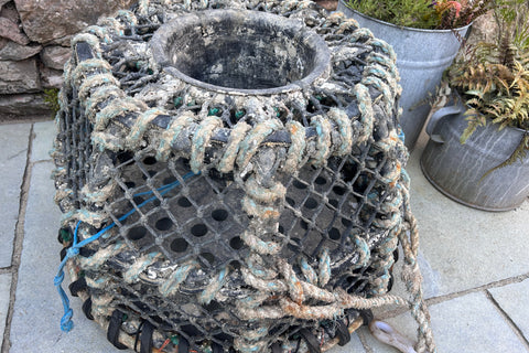 Original lobster pot