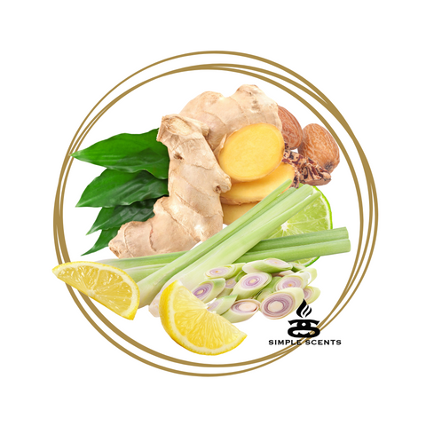 Lemongrass &amp; Ginster Simple Scents Excellence Raumduft
