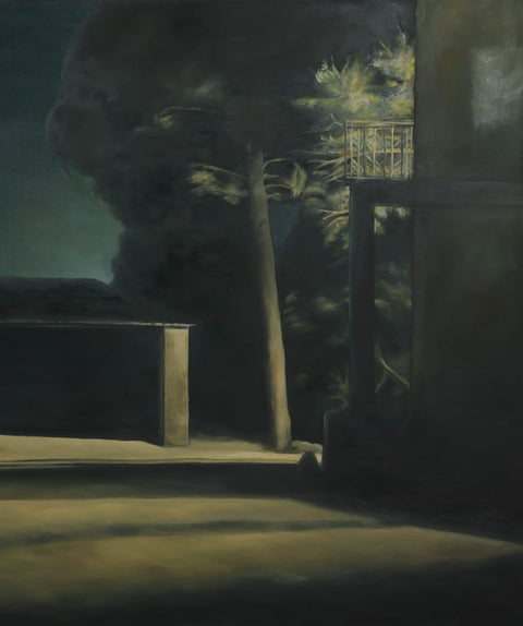 Franz Baumgartner (1962) - Nachtbild