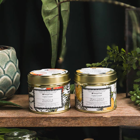 Nectarine & Sandalwood Candle in a Matt Gold Tin