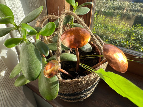 3 Copper Mushrooms