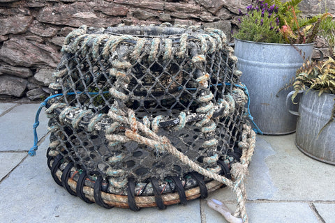 Original lobster pot